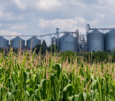Silo in a corn field. Agricultural Silos. Storage and drying of grains.